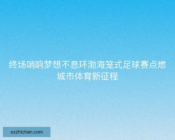 终场哨响梦想不息环渤海笼式足球赛点燃城市体育新征程